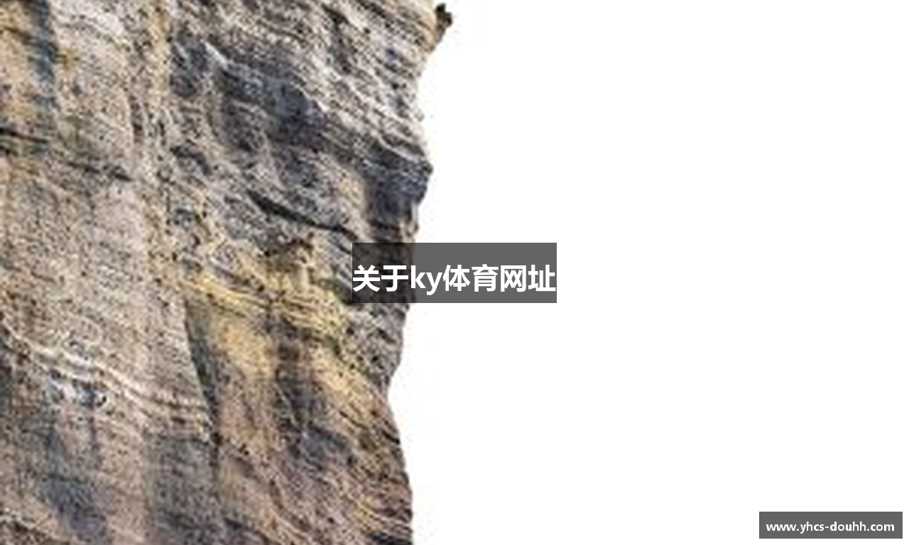 关于ky体育网址